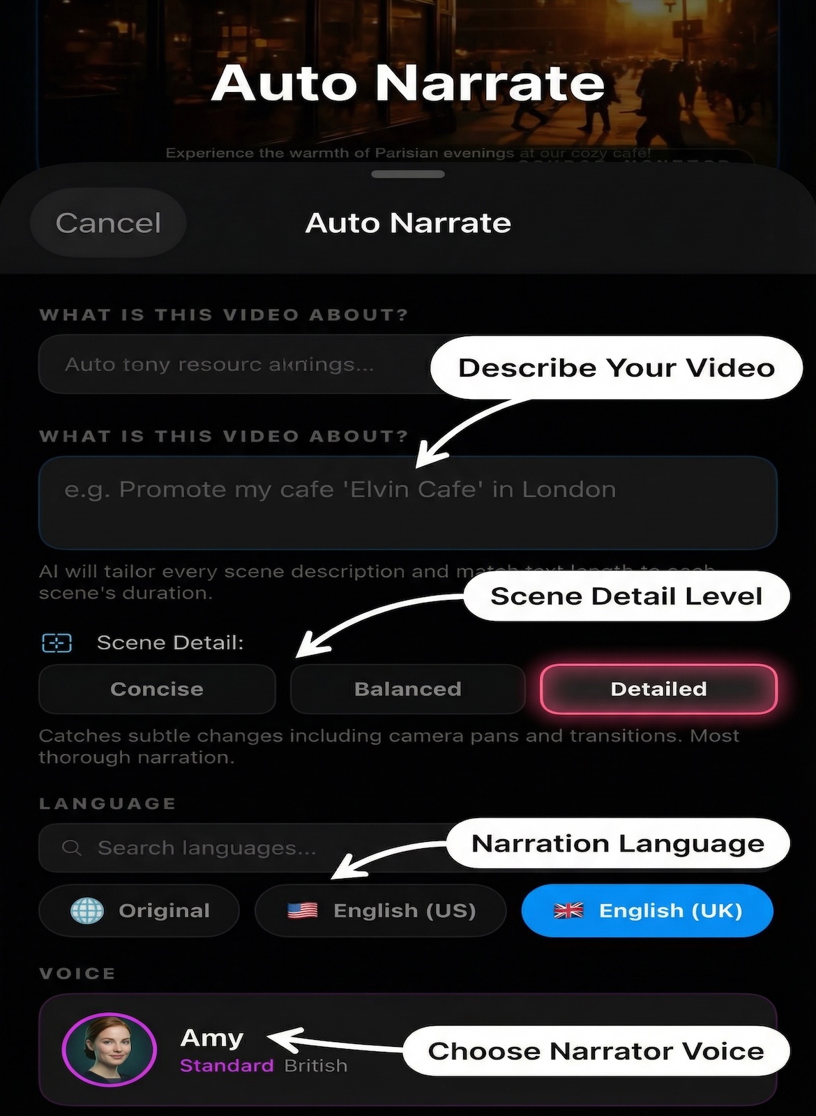 Auto Narrate mode — AI scene analysis and narration on iPhone