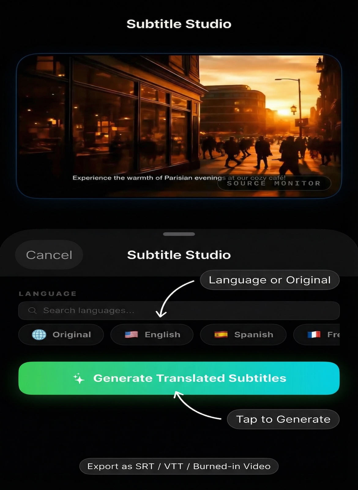 Subtitle Studio — AI subtitle generation and segment editing